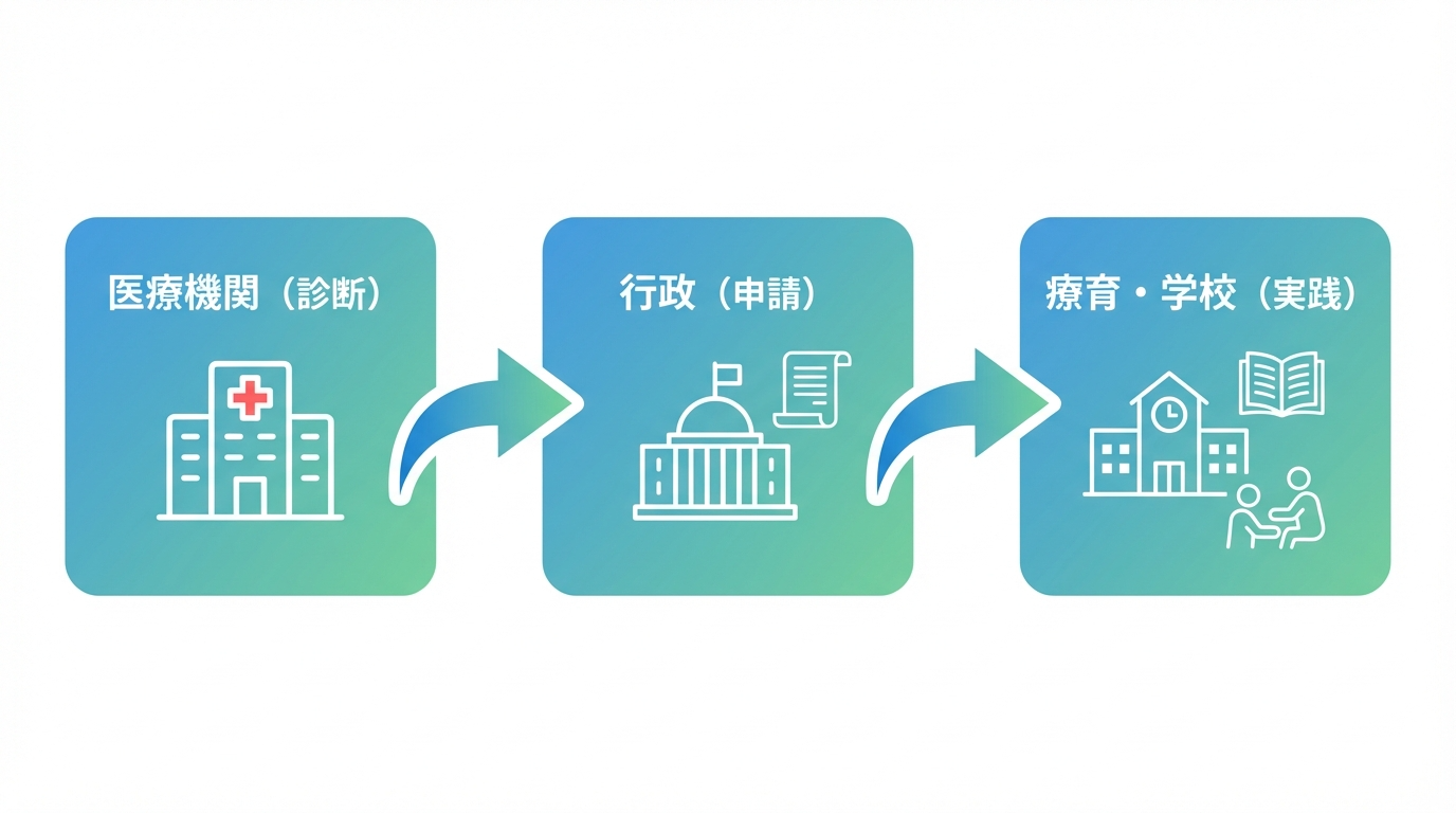 医療機関、療育センター、学校という相談の流れをステップ形式で示したフローチャート